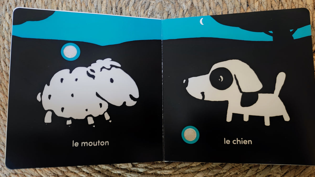 Livre - "Mes animaux sonores"