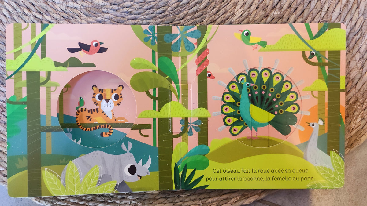 Livre "Dans la jungle "