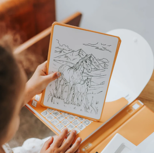 Recharges pour kidydraw pad - Thème chevaux