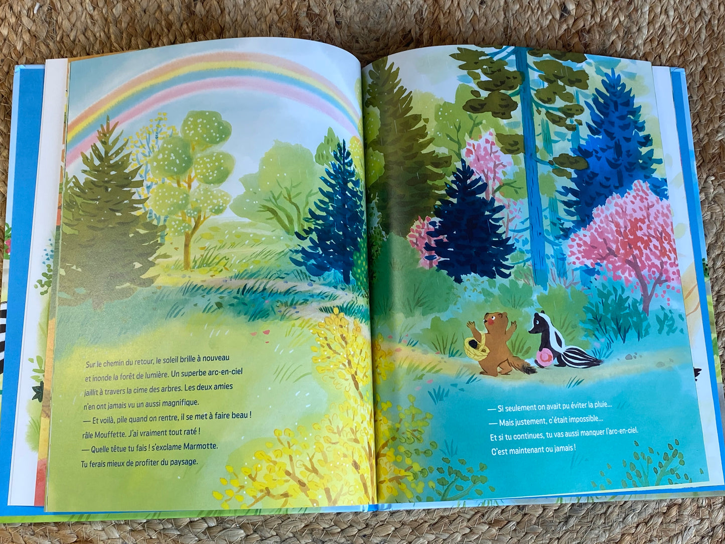 Livre - Le gâteau le mieux raté du monde
