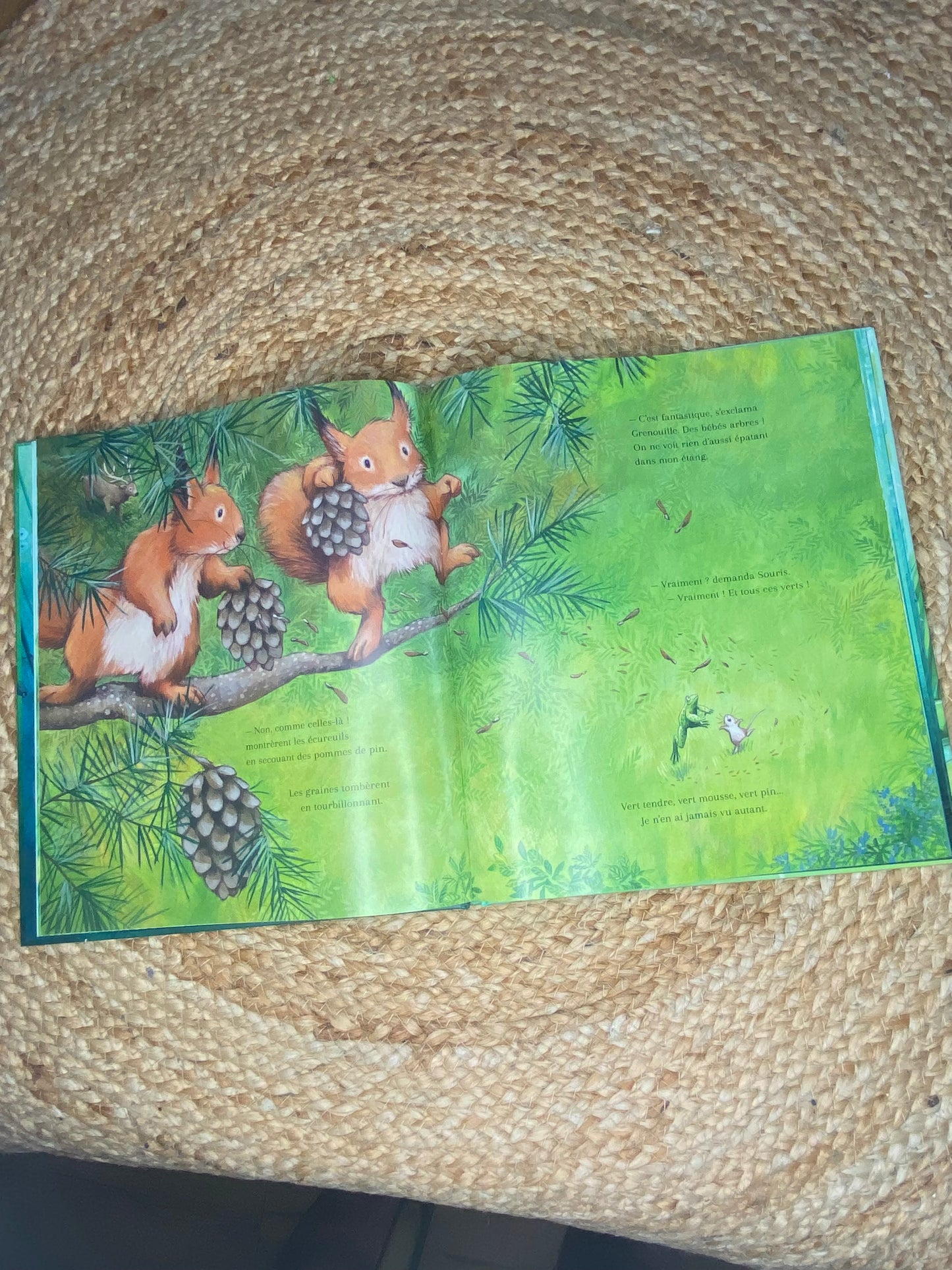 Livre - Grenouille d'eau et souris des bois