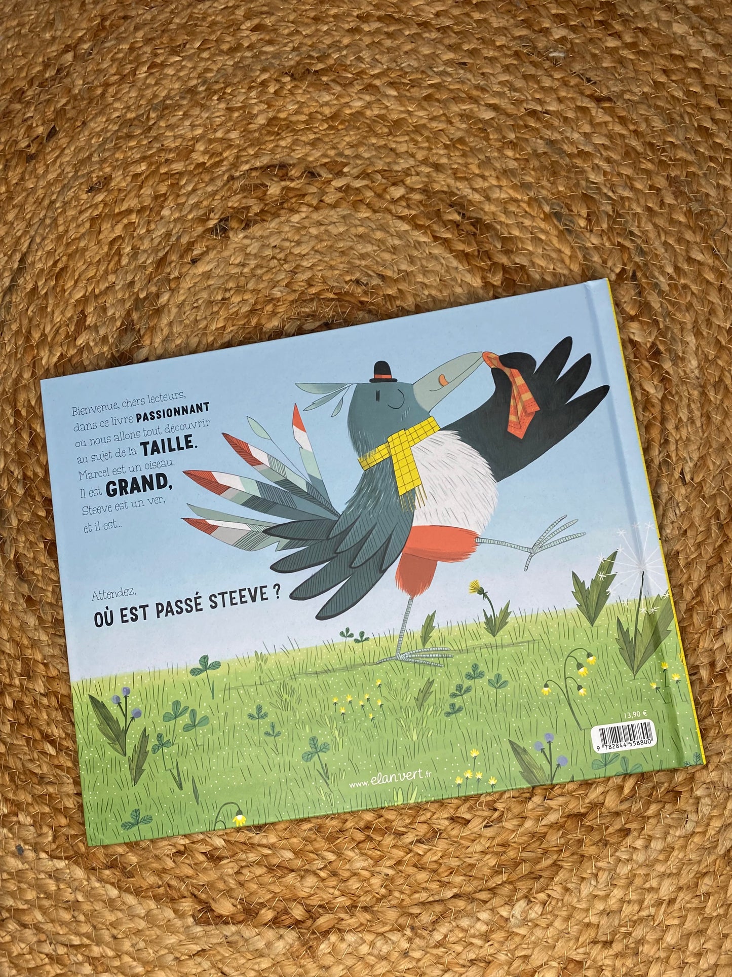 Livre - Qui a gobé Steeve ?