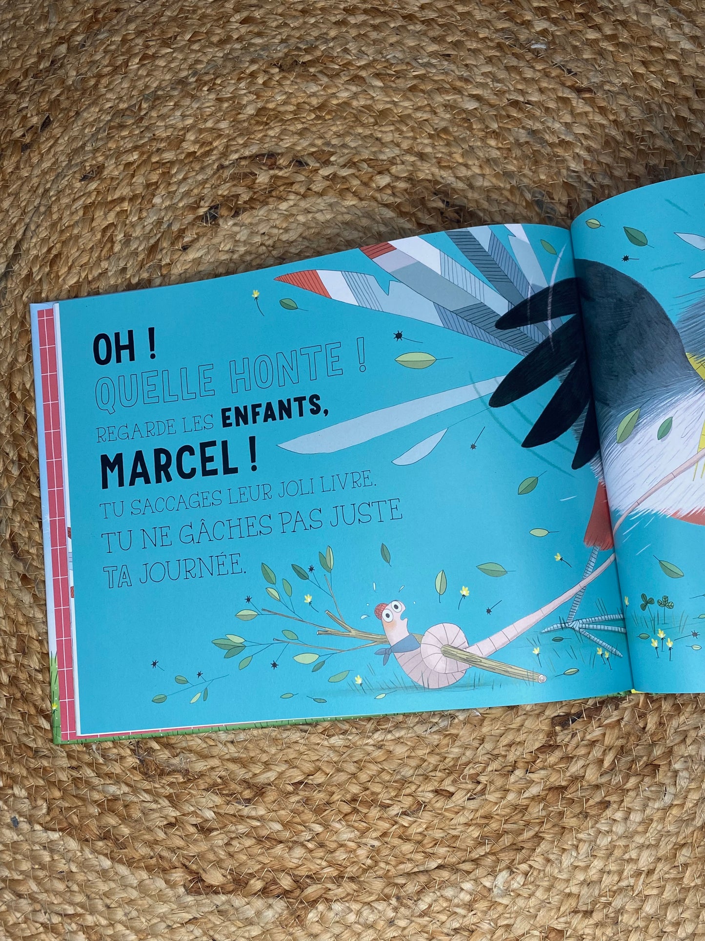 Livre - Qui a gobé Steeve ?