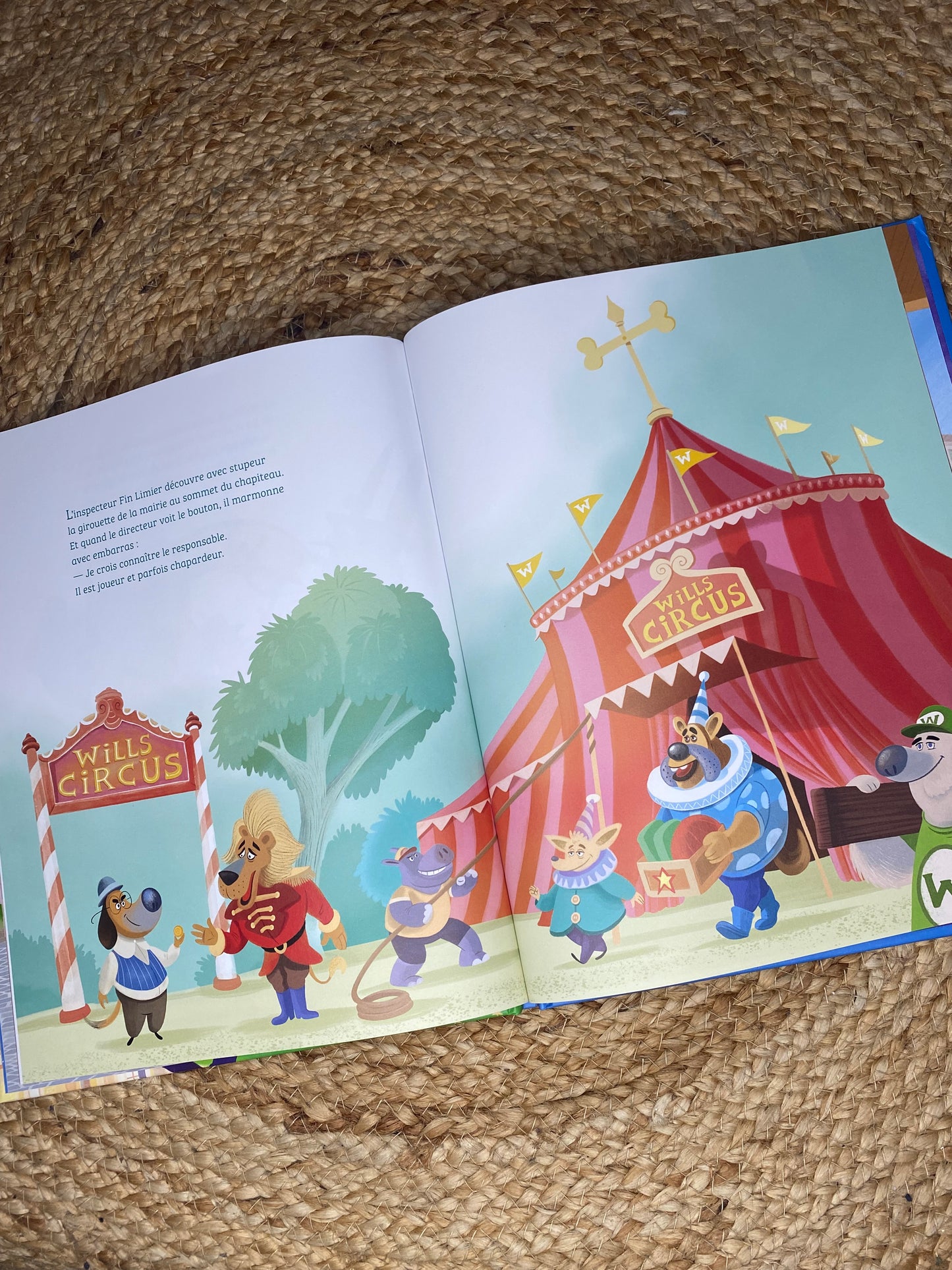 Livre - Mystère à Toutouville
