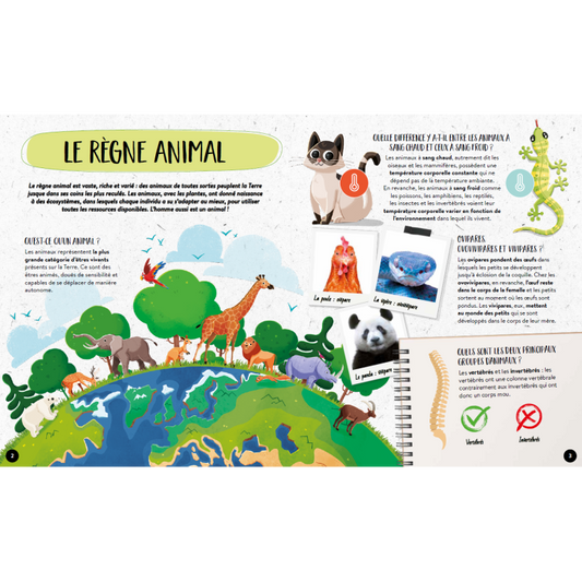 Livre - Quoi, comment, pourquoi. Les animaux