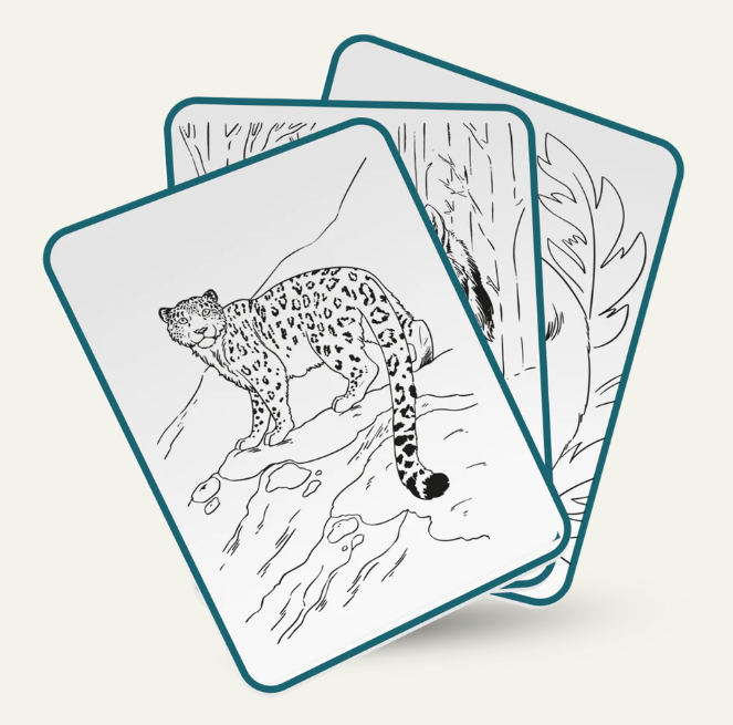 KIDYDRAW PAD - Tablette à dessin lumineuse "Animaux"
