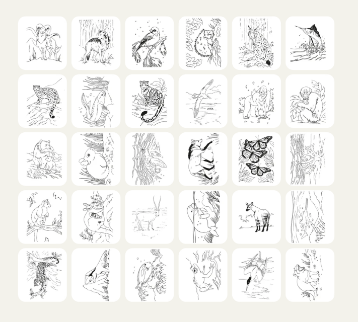 KIDYDRAW PAD - Tablette à dessin lumineuse "Animaux"