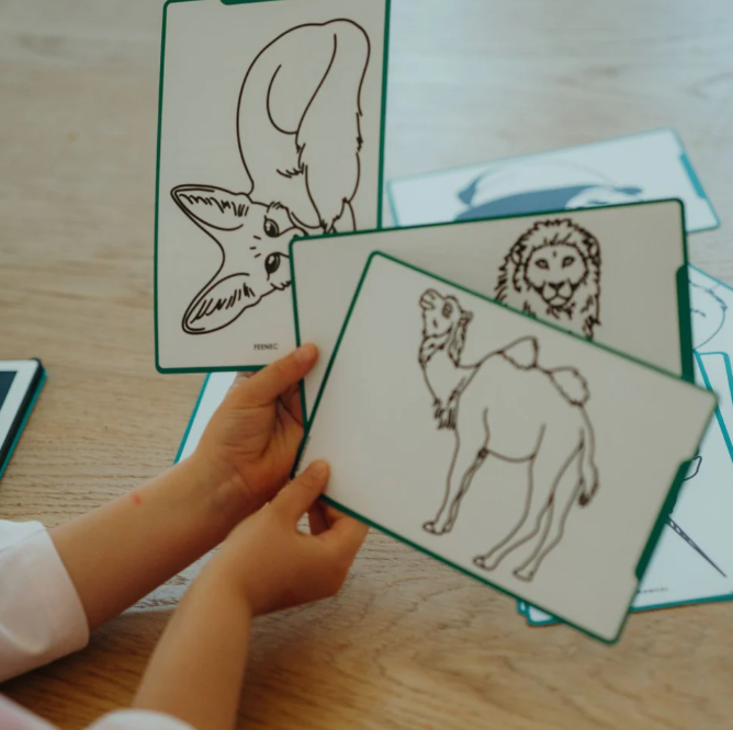 KIDYDRAW MINI - Tablette à dessin 30 fiches Les animaux autour du monde