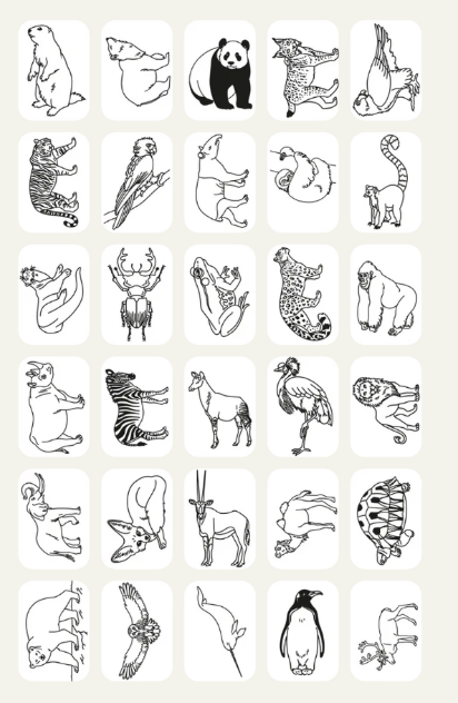KIDYDRAW MINI - Tablette à dessin 30 fiches Les animaux autour du monde
