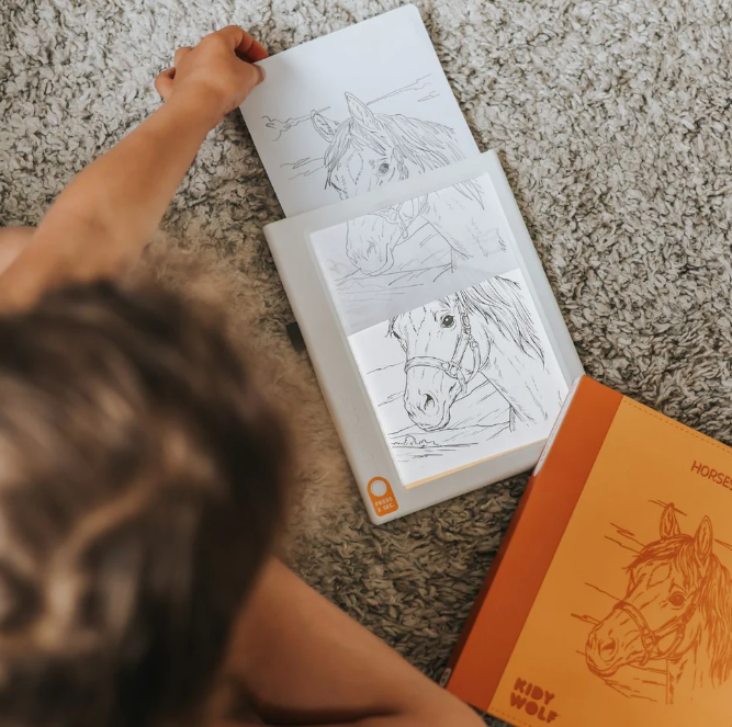 Recharges pour kidydraw pad - Thème chevaux