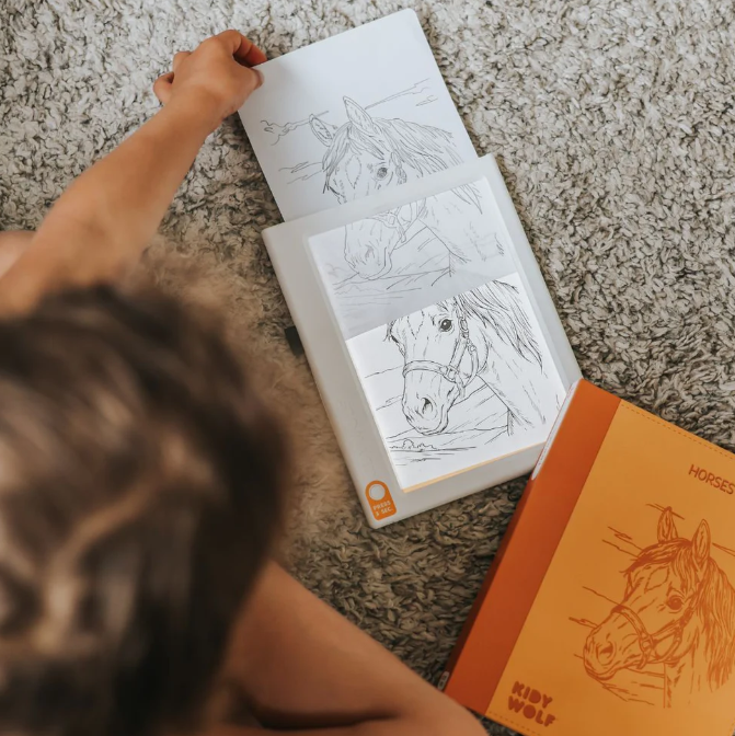 Recharges pour kidydraw pad - Thème chevaux