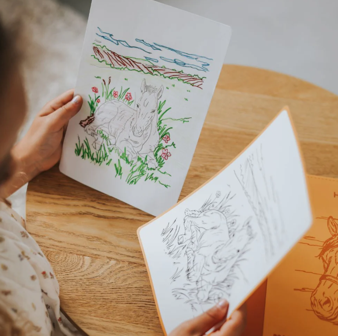 Recharges pour kidydraw pad - Thème chevaux