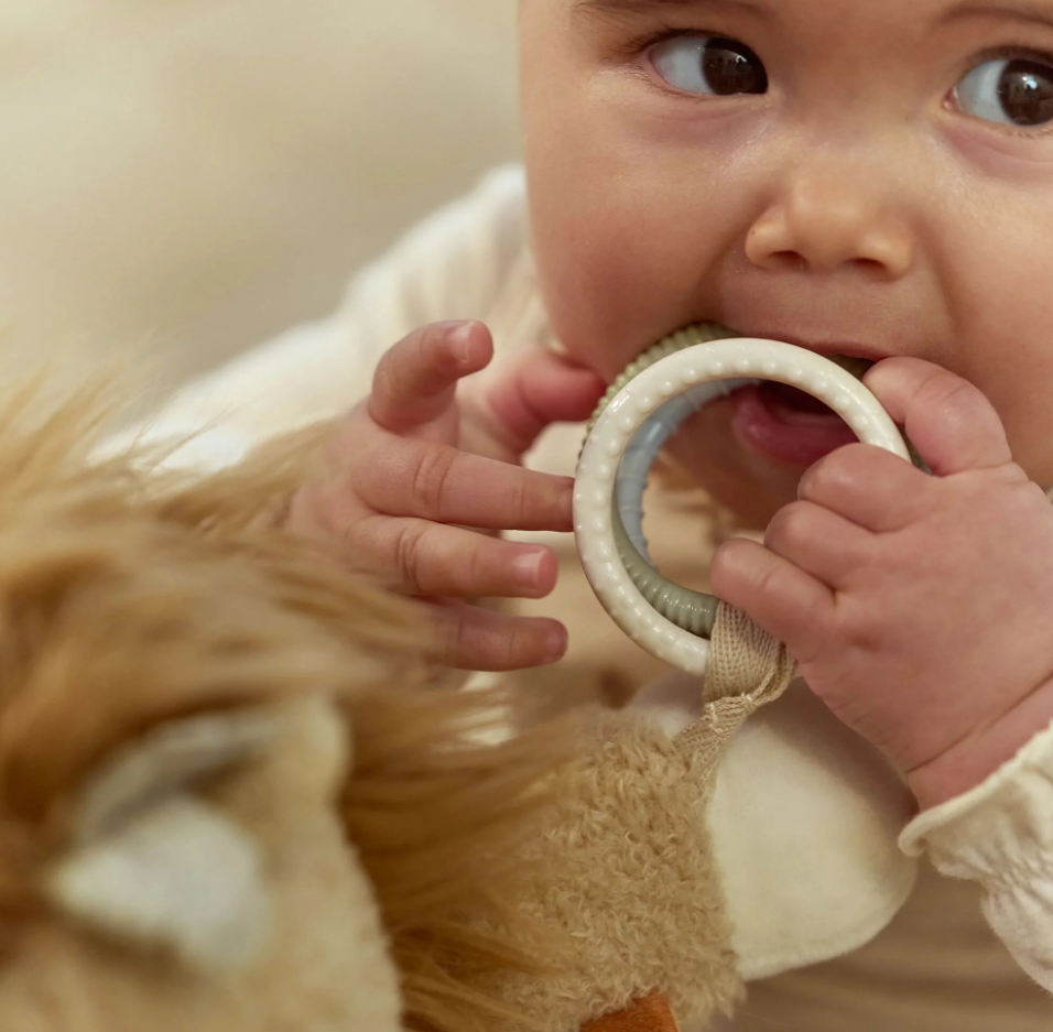 Peluche d'activité Lion