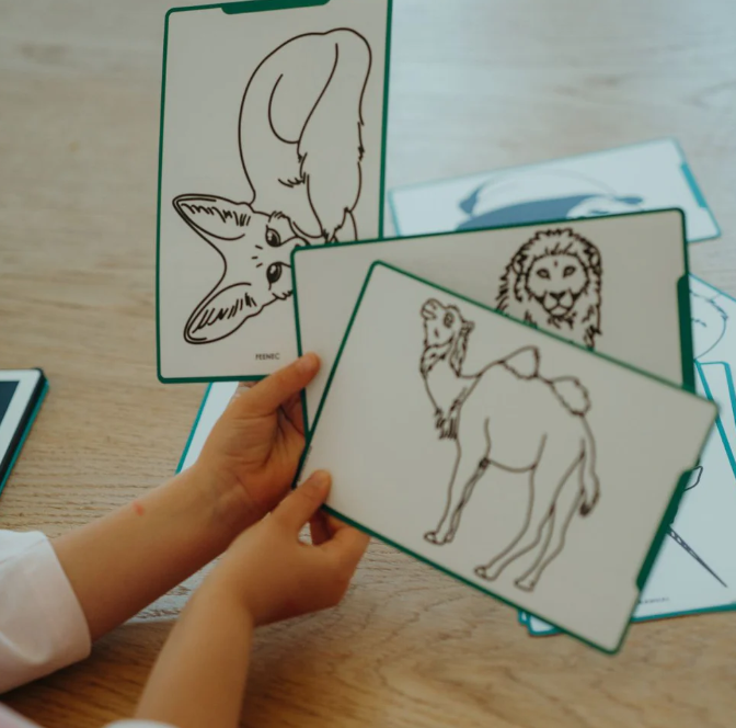 🎓 KIDYDRAW-MINI – Recharges dessin Océan pirates & animaux du monde