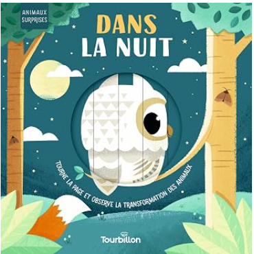 Livre "Dans la nuit "