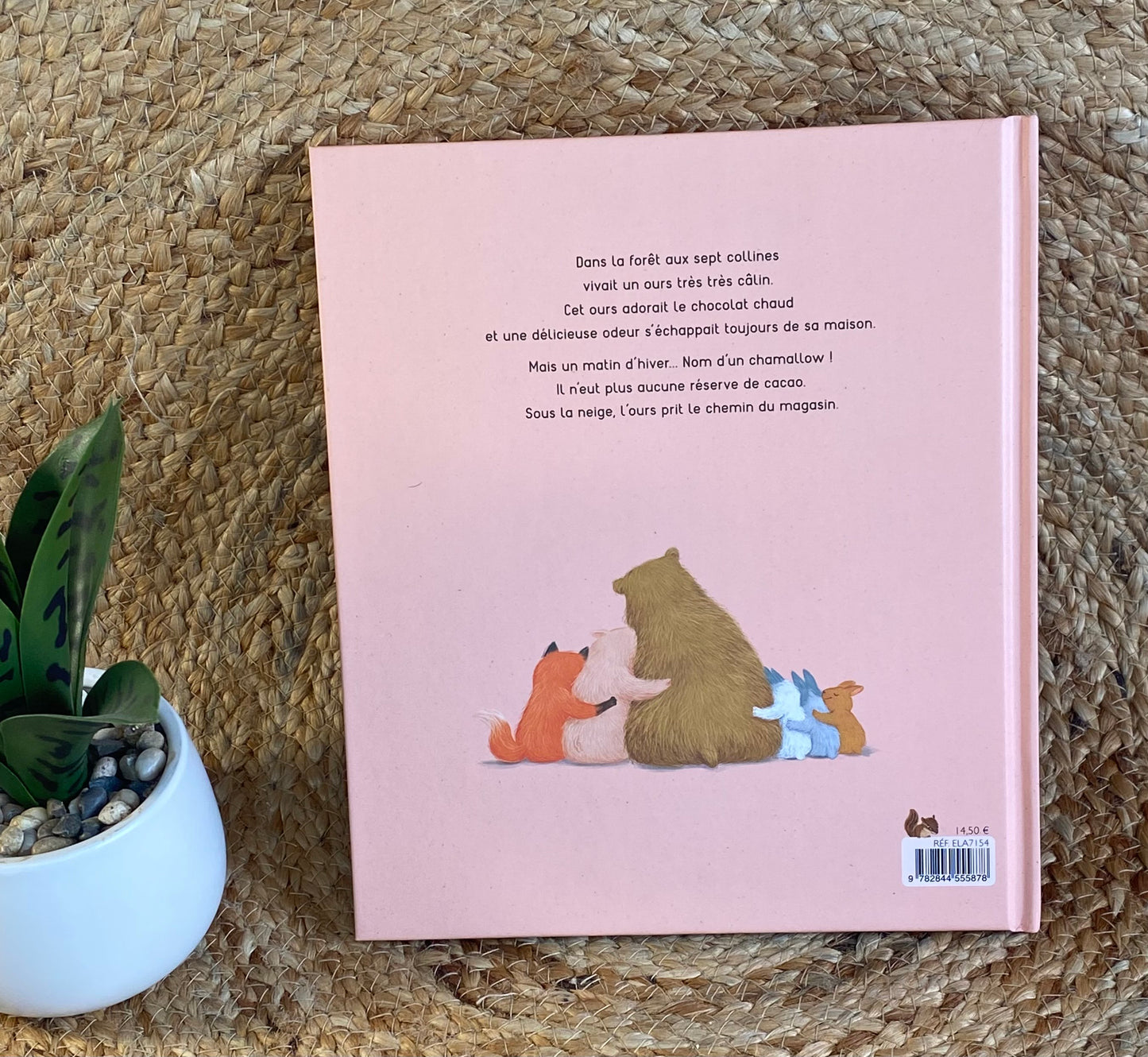 Livre - L'ours très très calin