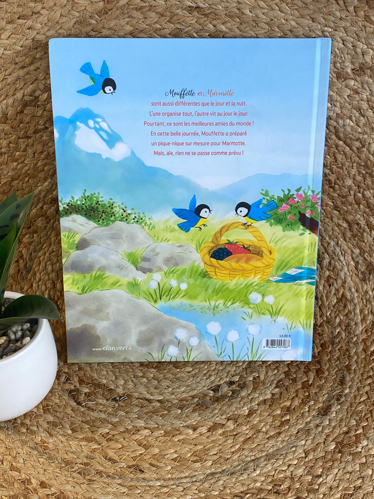 Livre - Le gâteau le mieux raté du monde