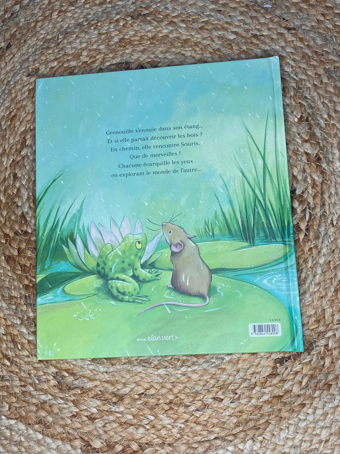 Livre - Grenouille d'eau et souris des bois