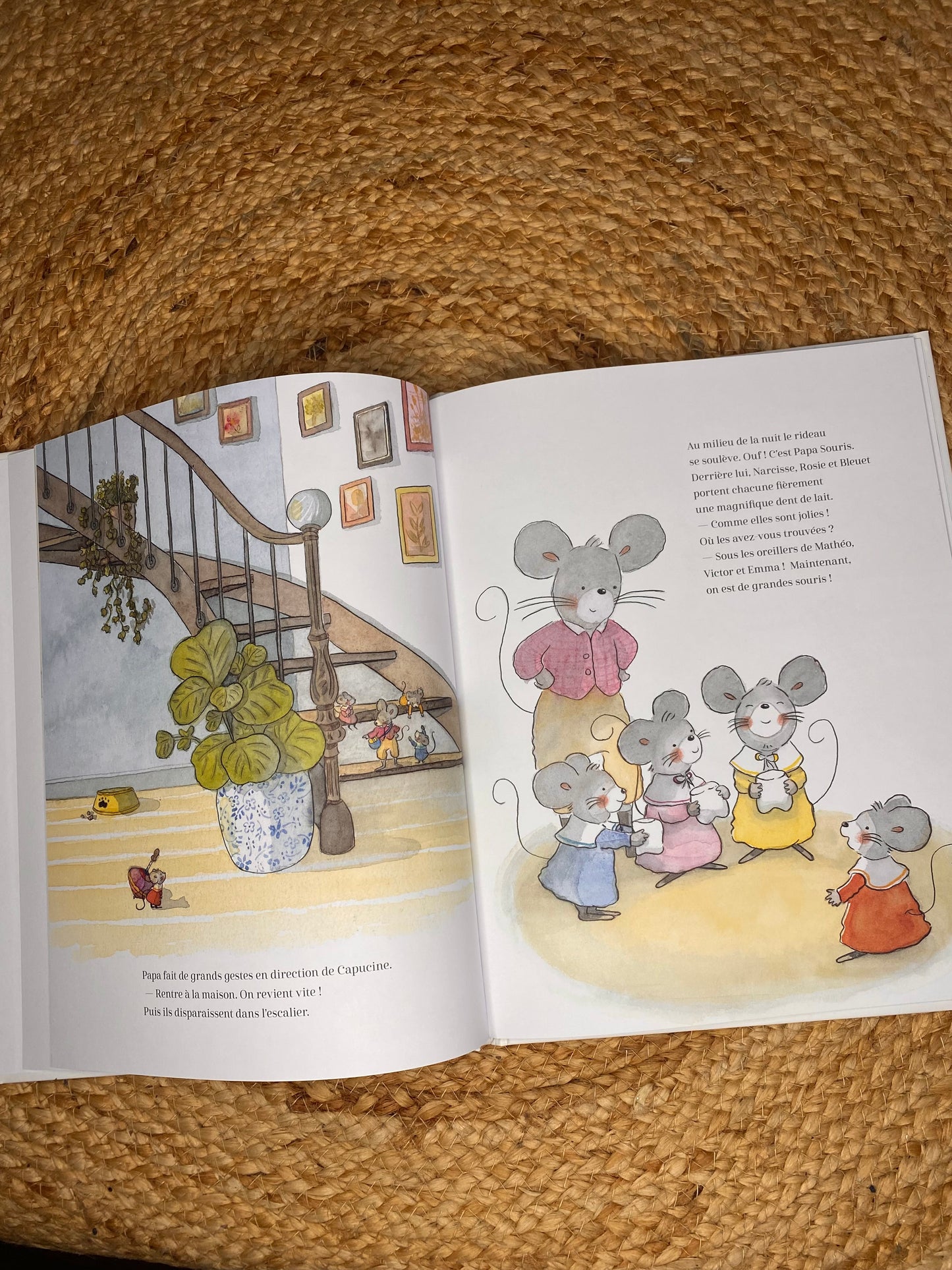 Livre - Le royaume de Dendelait