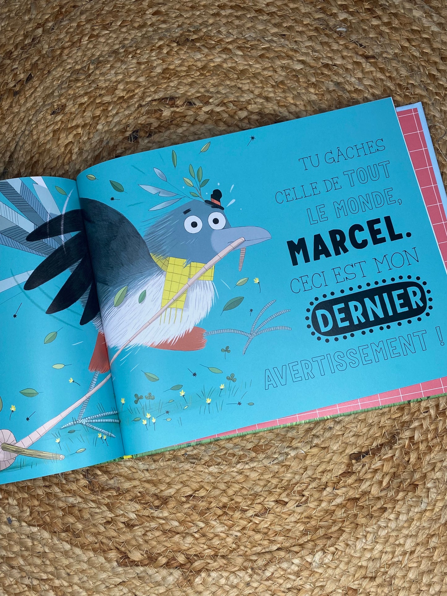 Livre - Qui a gobé Steeve ?