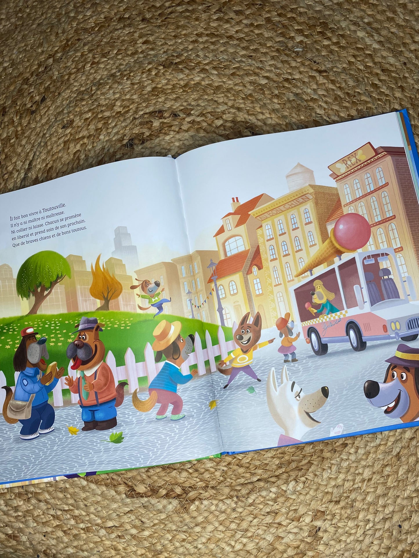 Livre - Mystère à Toutouville