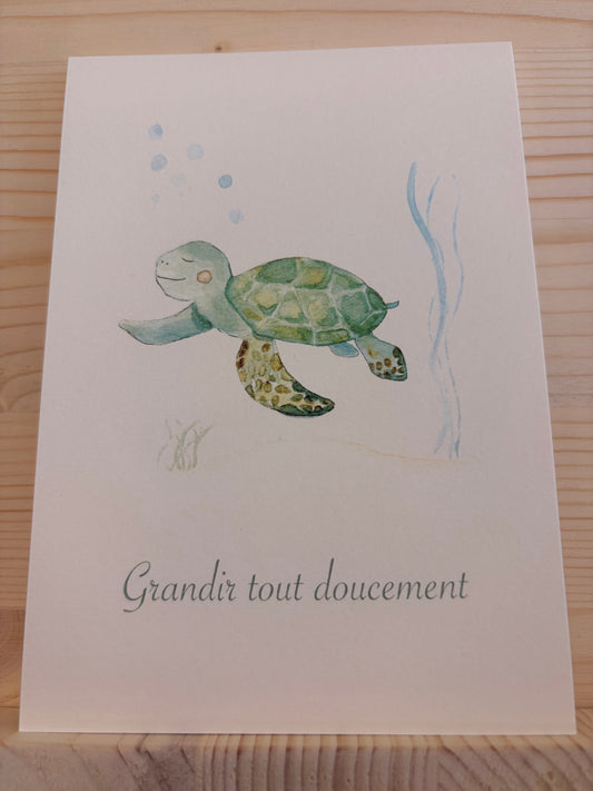 Carte Aquarelle Tortue