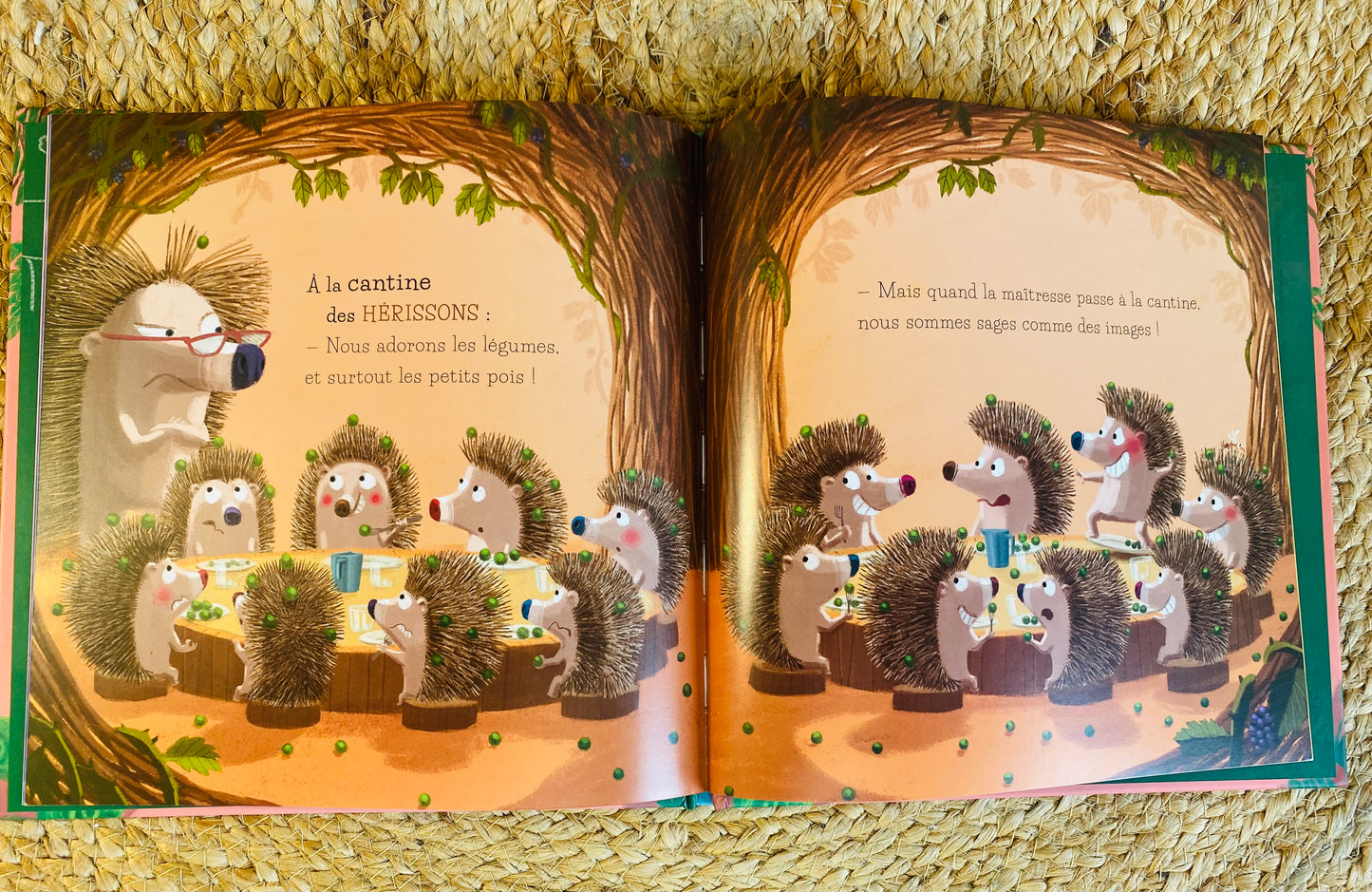 Livre - La cantine des animaux