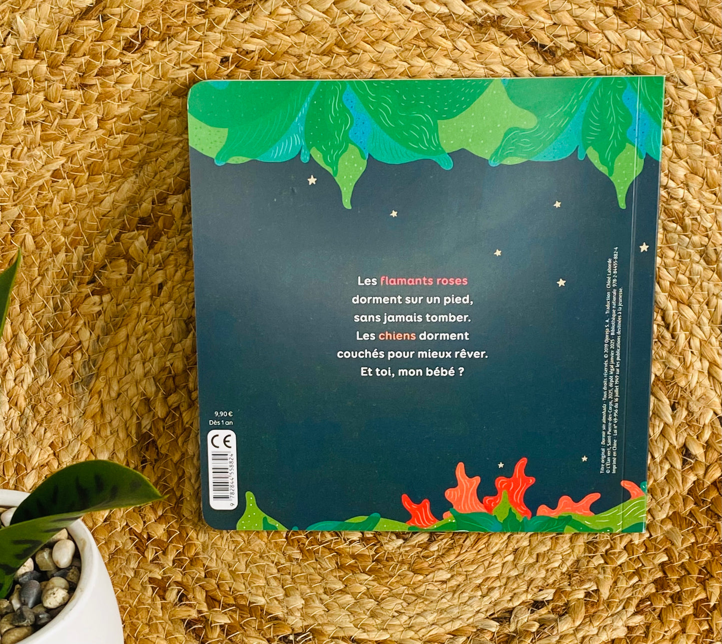 Livre - Bonne nuit