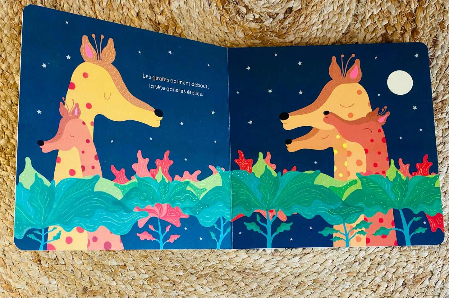 Livre - Bonne nuit