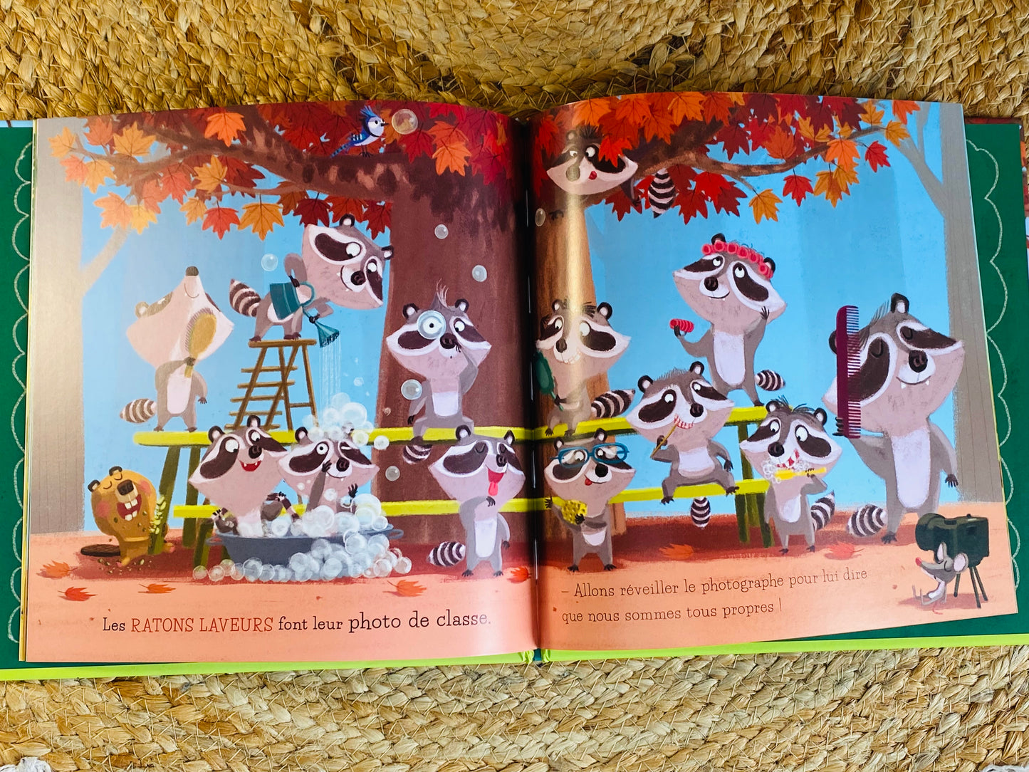 Livre - La photo de classe des animaux
