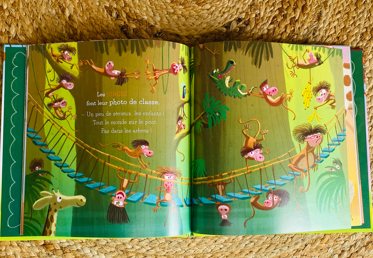 Livre - La photo de classe des animaux