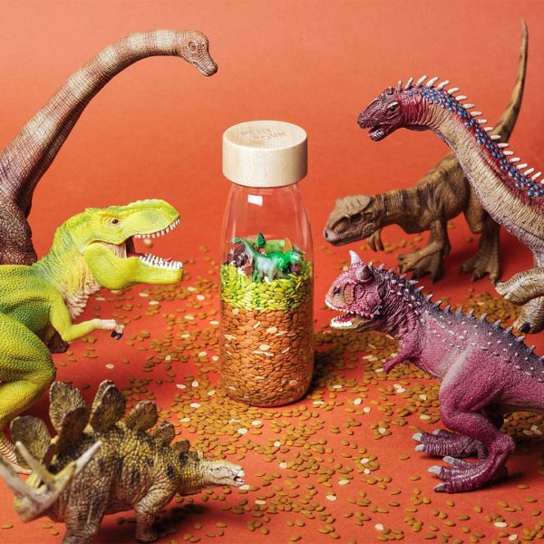 Bouteille sensorielle dinosaures