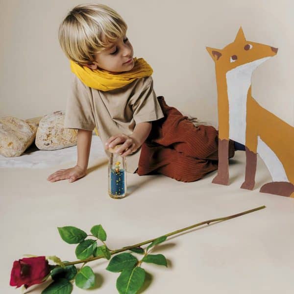 Bouteille sensorielle Le petit Prince