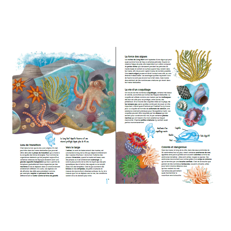 Livre - Atlas de la biodiversité. Mers et océans