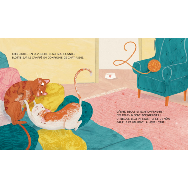 Livre - Familles nombreuses