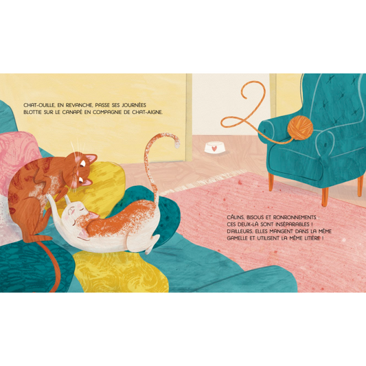 Livre - Familles nombreuses