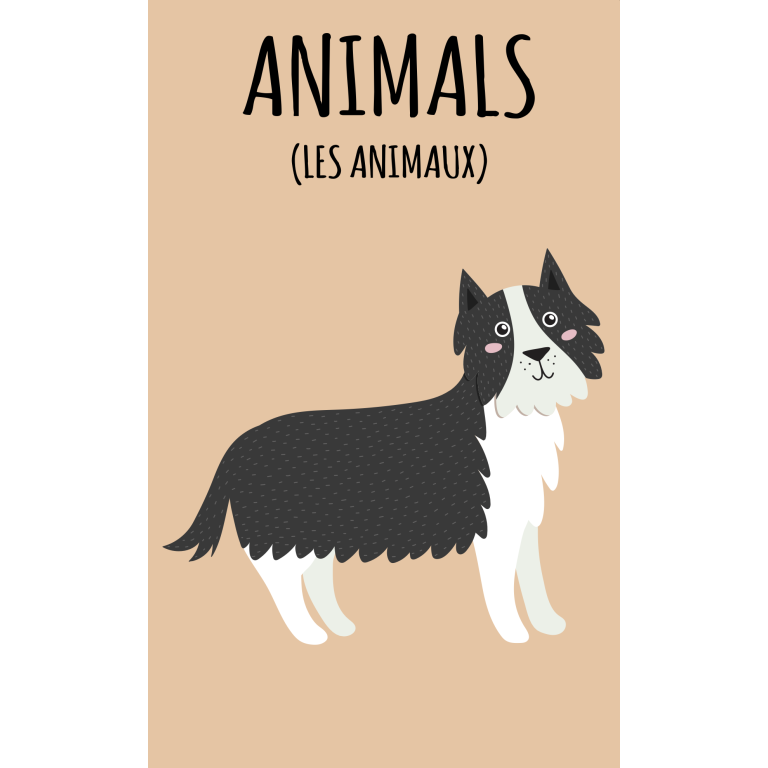 Ma petite bibliothèque. J'apprends l'anglais