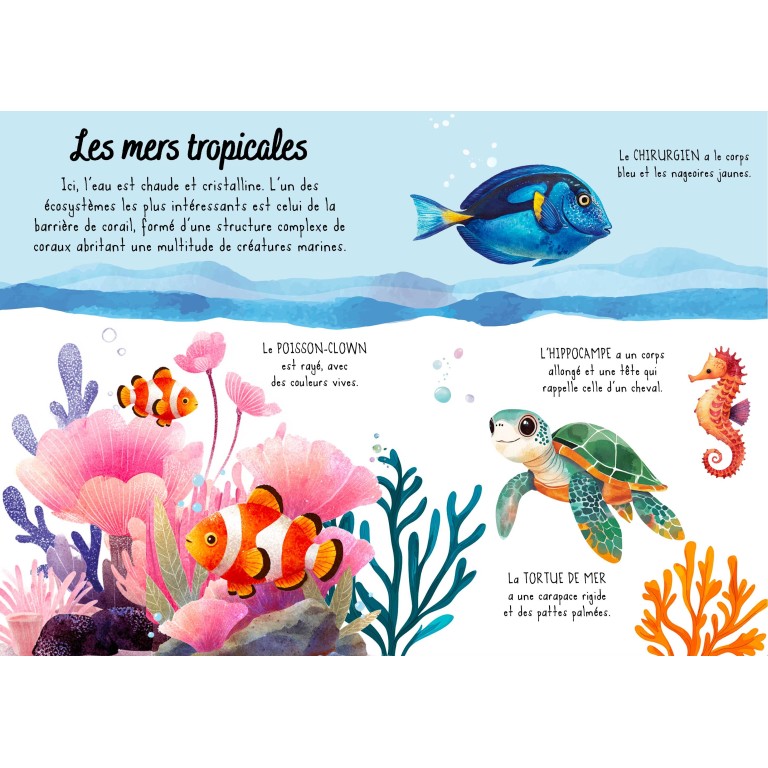 Puzzle magique à l'eau - La mer