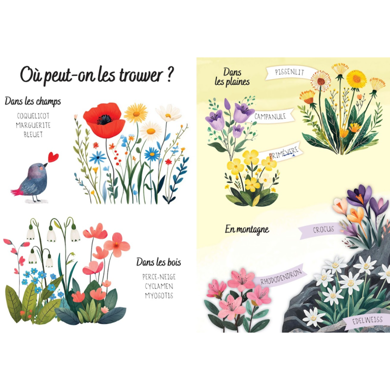 Puzzle magique à l'eau - Les fleurs