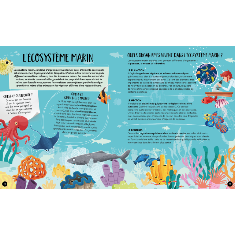 Livre - Quoi, comment, pourquoi. La mer