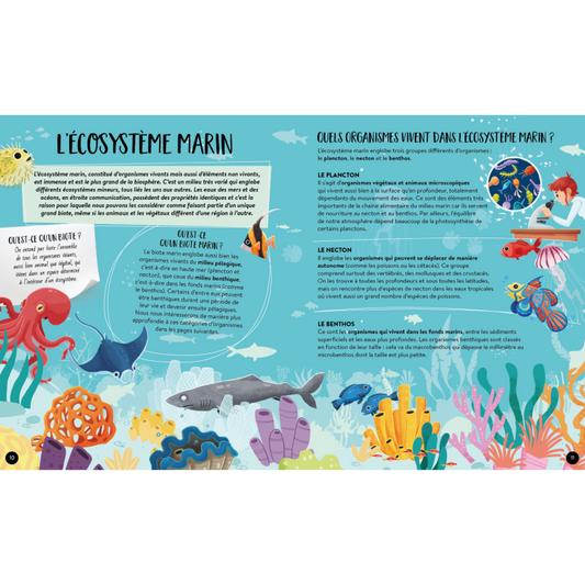 Livre - Quoi, comment, pourquoi. La mer