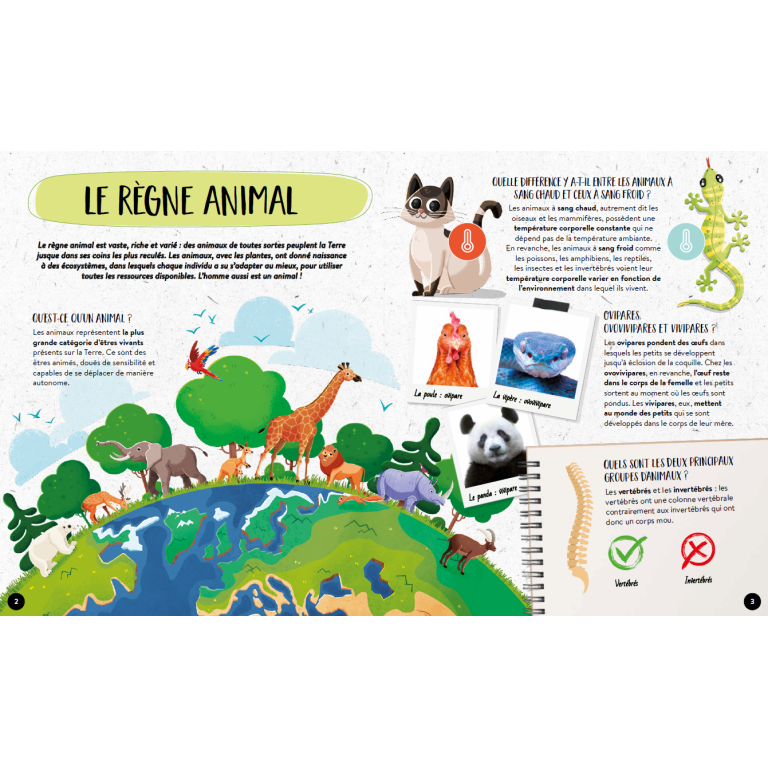 Livre - Quoi, comment, pourquoi. Les animaux