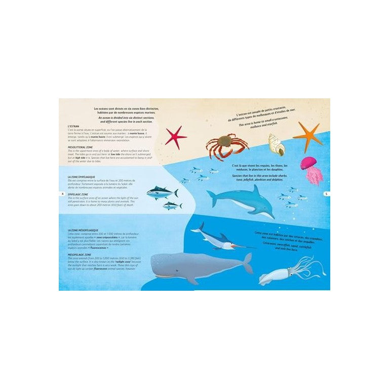 Puzzle circulaire - La mer - 100 pièces