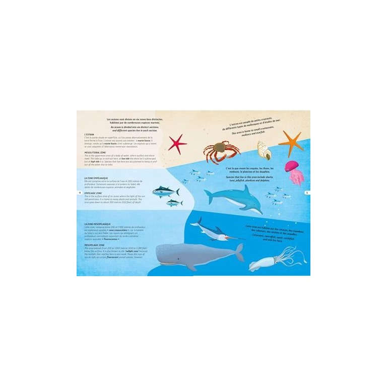 Puzzle circulaire - La mer - 100 pièces