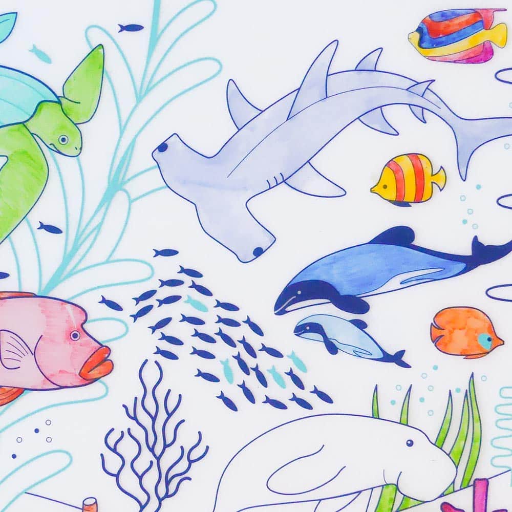 Coloriage réutilisable en silicone - Barrière de corail
