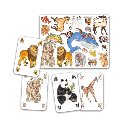 Jeu Zanimatch
